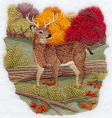 Seasons Whitetail Deer - Autumn