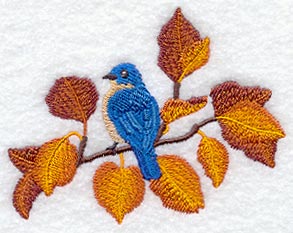 Seasons Bluebird - Autumn
