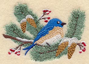 Seasons Bluebird - Winter