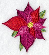 Jacobean Poinsettia
