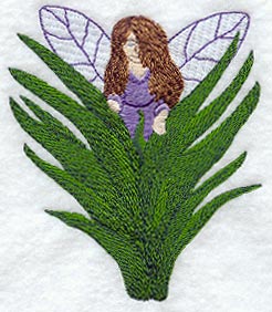 Fairy Fern