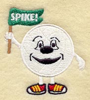 Spike the Volleyball