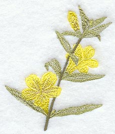 Yellow Jessamine