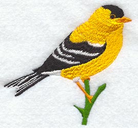 Goldfinch
