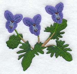 Wood Violet