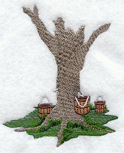 Maple Syrup Tree