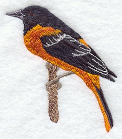 Oriole