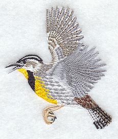 Flying Meadowlark