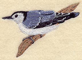 White-Breasted Nuthatch