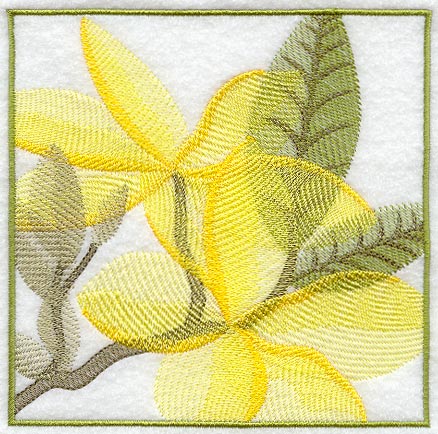 Frangipani Soft Shadow Square