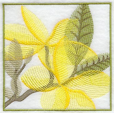 Frangipani Soft Shadow Square