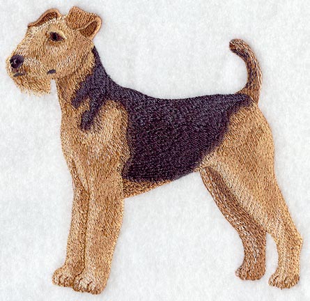 Airedale