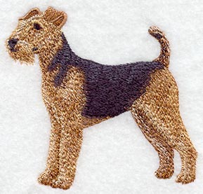 Airedale