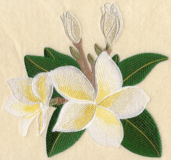 Frangipani Flower Bunch 1