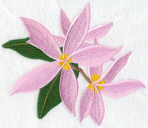 Frangipani Flower Bunch 3