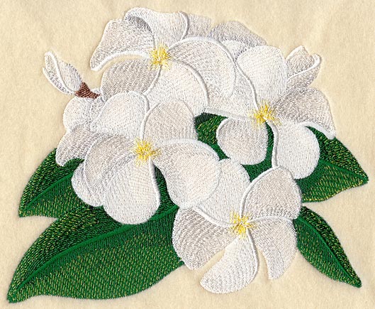 Frangipani Flower Bunch 4