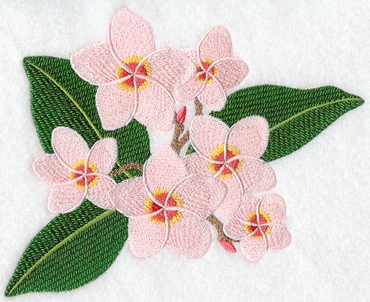 Frangipani Flower Bunch 5