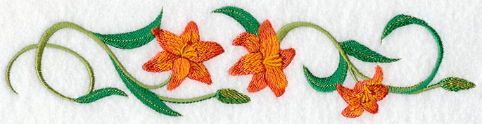 Asiatic Lily Border