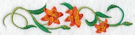 Asiatic Lily Border
