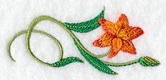 Asiatic Lily Border