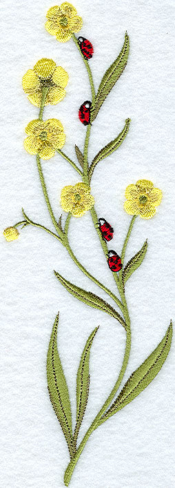 Ladybug Spring