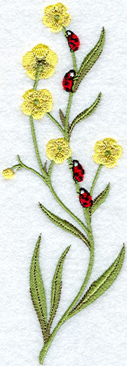 Ladybug Spring