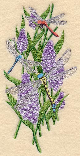 Dreaming of Dragonflies