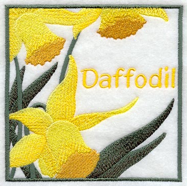 Daffodil Floral Square