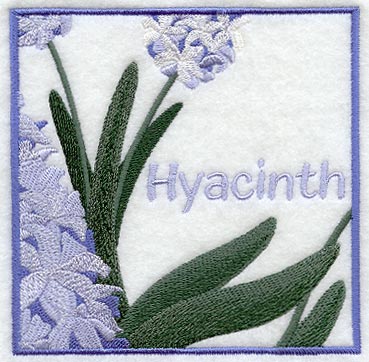 Hyacinth Floral Square