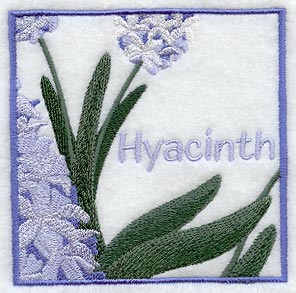 Hyacinth Floral Square