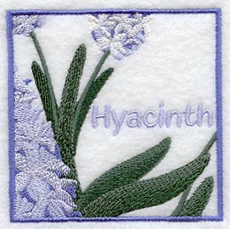 Hyacinth Floral Square