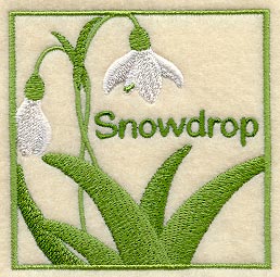 Snowdrop Floral Square