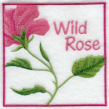 Wild Rose Floral Square