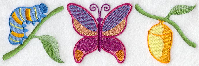 Butterfly Stages Trio