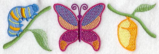 Butterfly Stages Trio