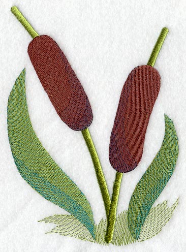 Cattail Pair
