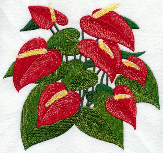 Anthurium Tropical Flower