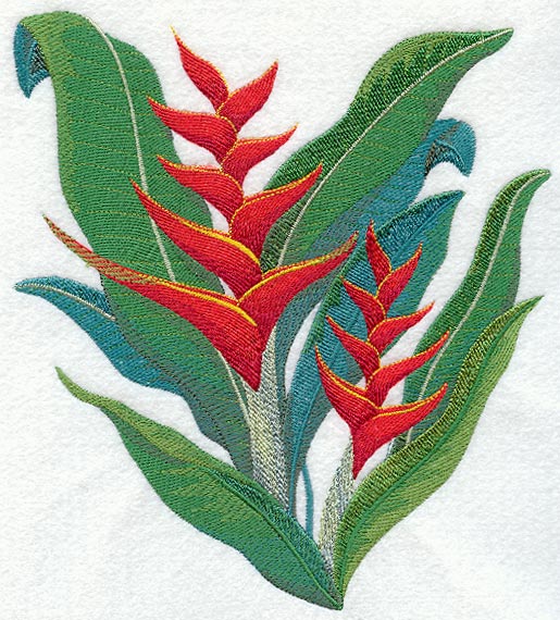 Heliconia Tropical Flower