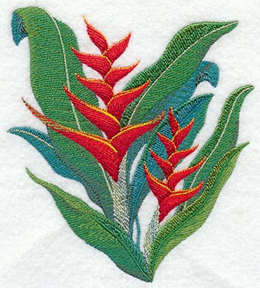 Heliconia Tropical Flower