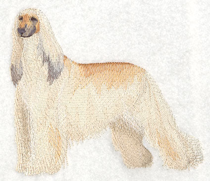 Afghan Hound