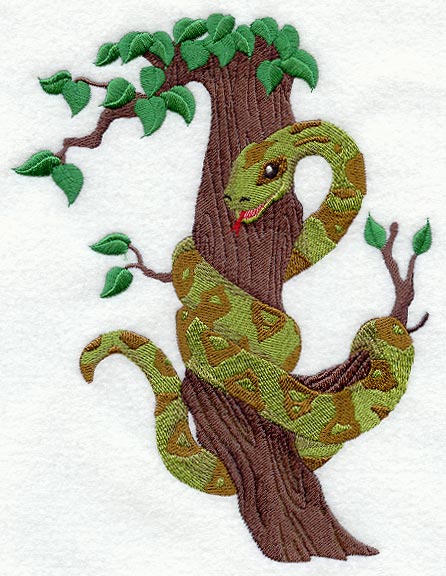 Rainforest Baby - Boa Constrictor