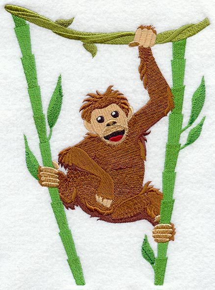 Rainforest Baby - Orangutan