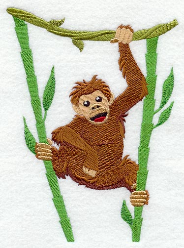 Rainforest Baby - Orangutan