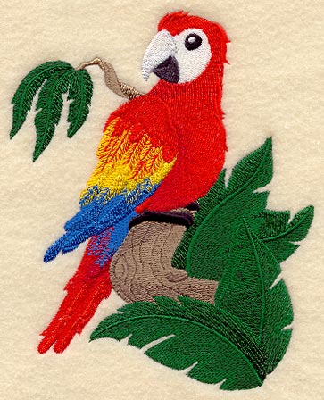 Rainforest Baby - Macaw