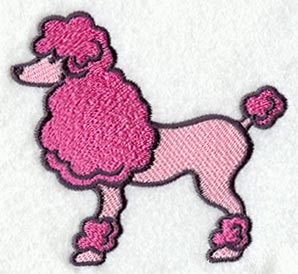 Poodle