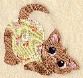 Baby Kitten in Pajamas