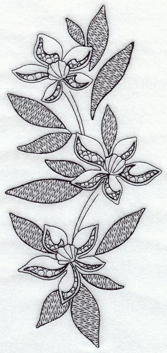 Clematis Spray (Blackwork)