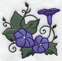 Whimsical Wild Morning Glory