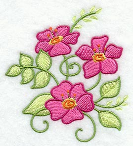 Whimsical Wild Rose