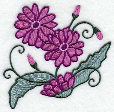 Whimsical Wild Aster